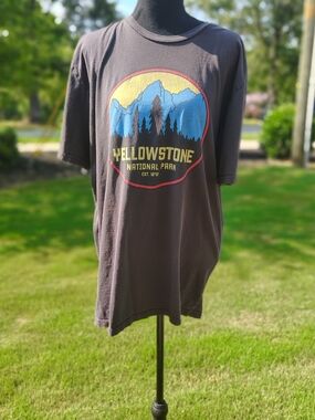 Yellowstone National Park Graphic Tee - Brown with Blue & Yellow Print